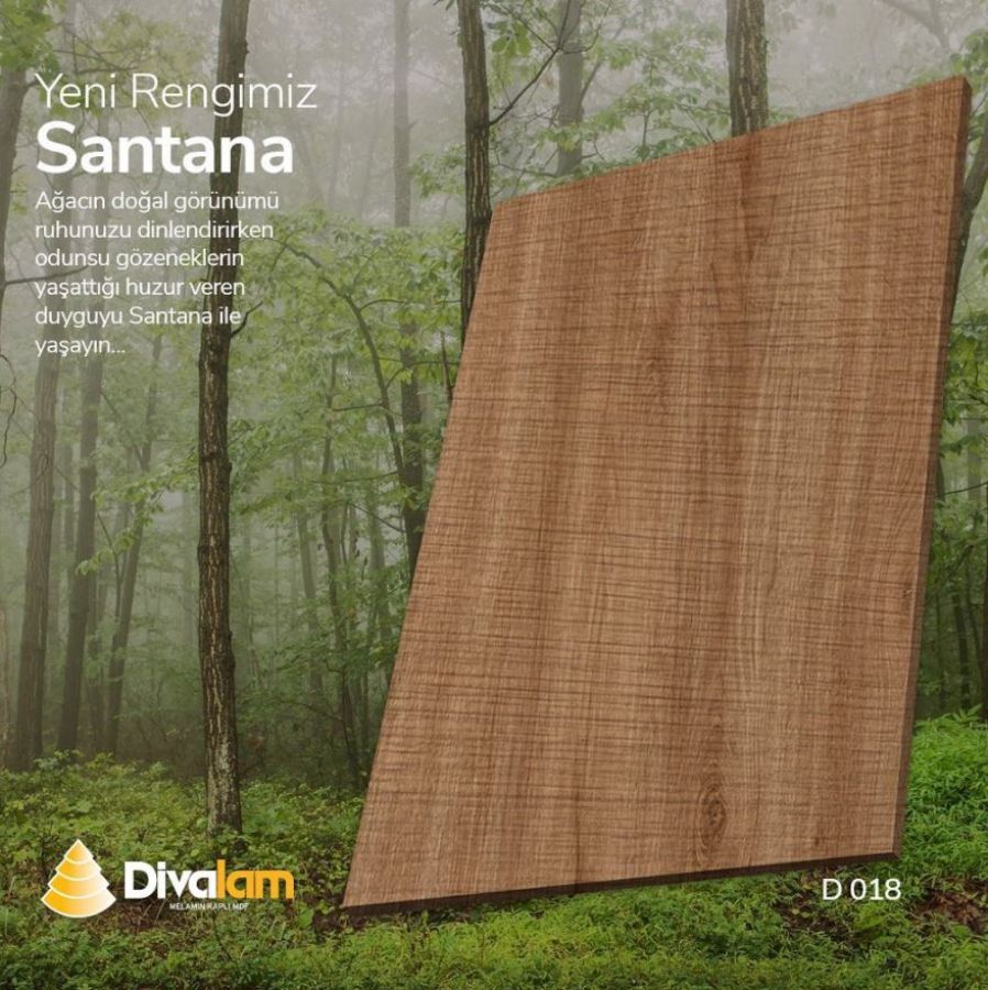 Yeni Rengimiz Santana